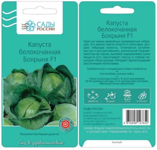 Капуста засолочная описание сорта фото отзывы ПС Капуста белокочанная Боярыня F1 16шт