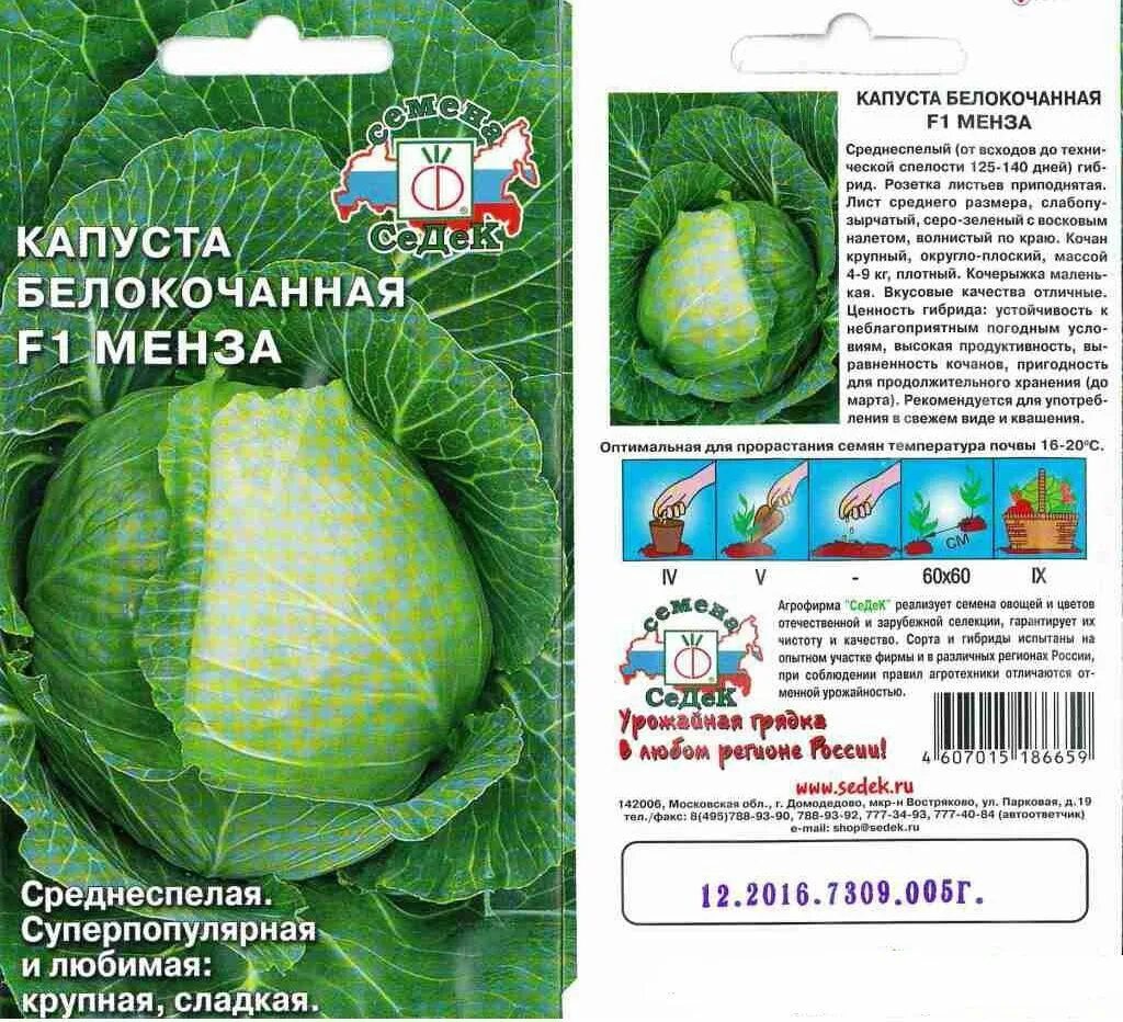 Капуста засолочная описание сорта фото отзывы Сорта капусты для засолки и квашения Капуста, Квашеная капуста, Вырастить овощи