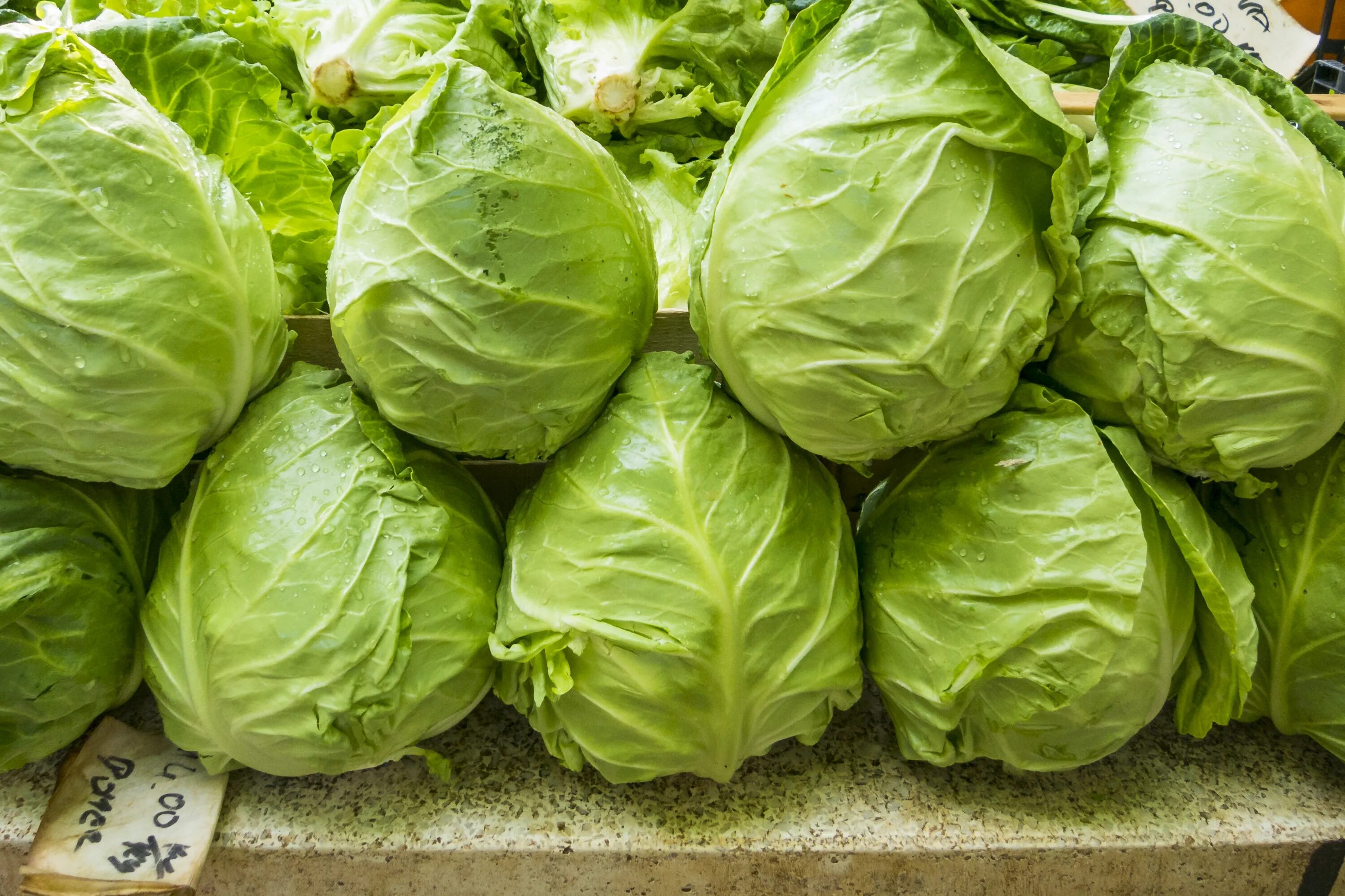 Капуста зеленая фото Free Images : nature, plant, food, green, produce, garden, healthy, eat, lettuce