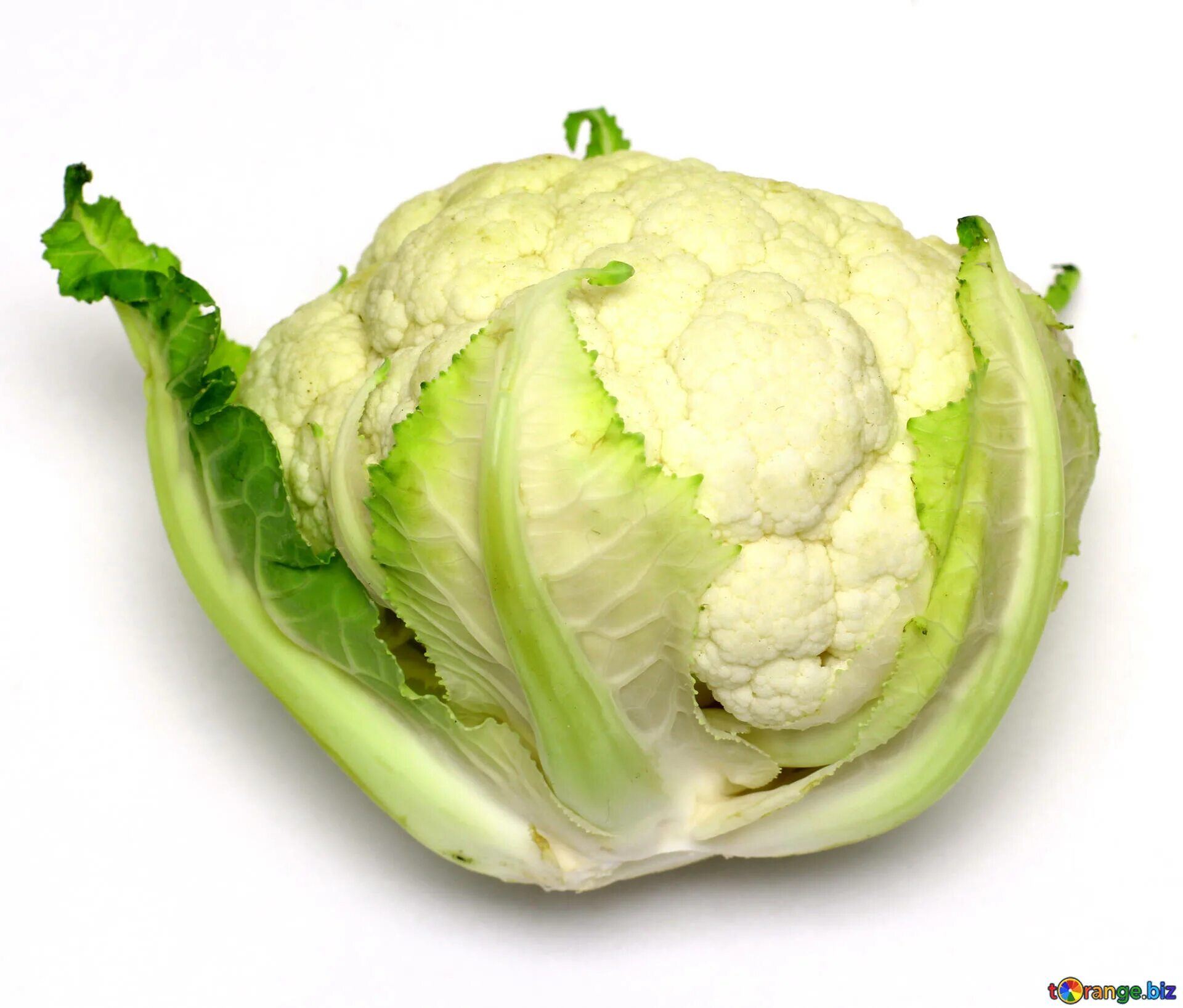 Капуста зеленая фото Cabbage green cauliflower free image - № 53642
