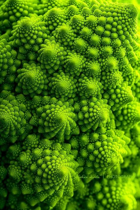 Капуста зеленая похожая на цветную фото 10 популярных идей на тему "fractal nature" для вдохновения