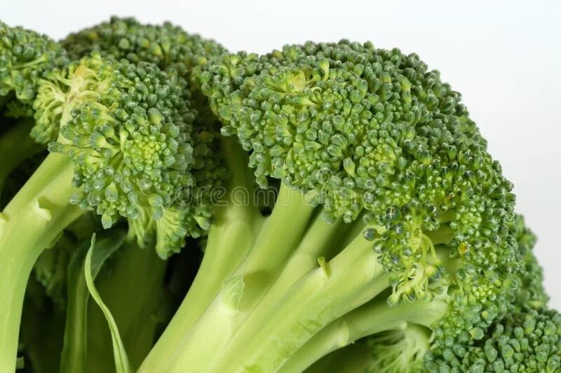 Капуста зеленая похожая на цветную фото Брокколи Romanesco Овощи цветной капусты Стоковое Фото - изображение насчитывающ
