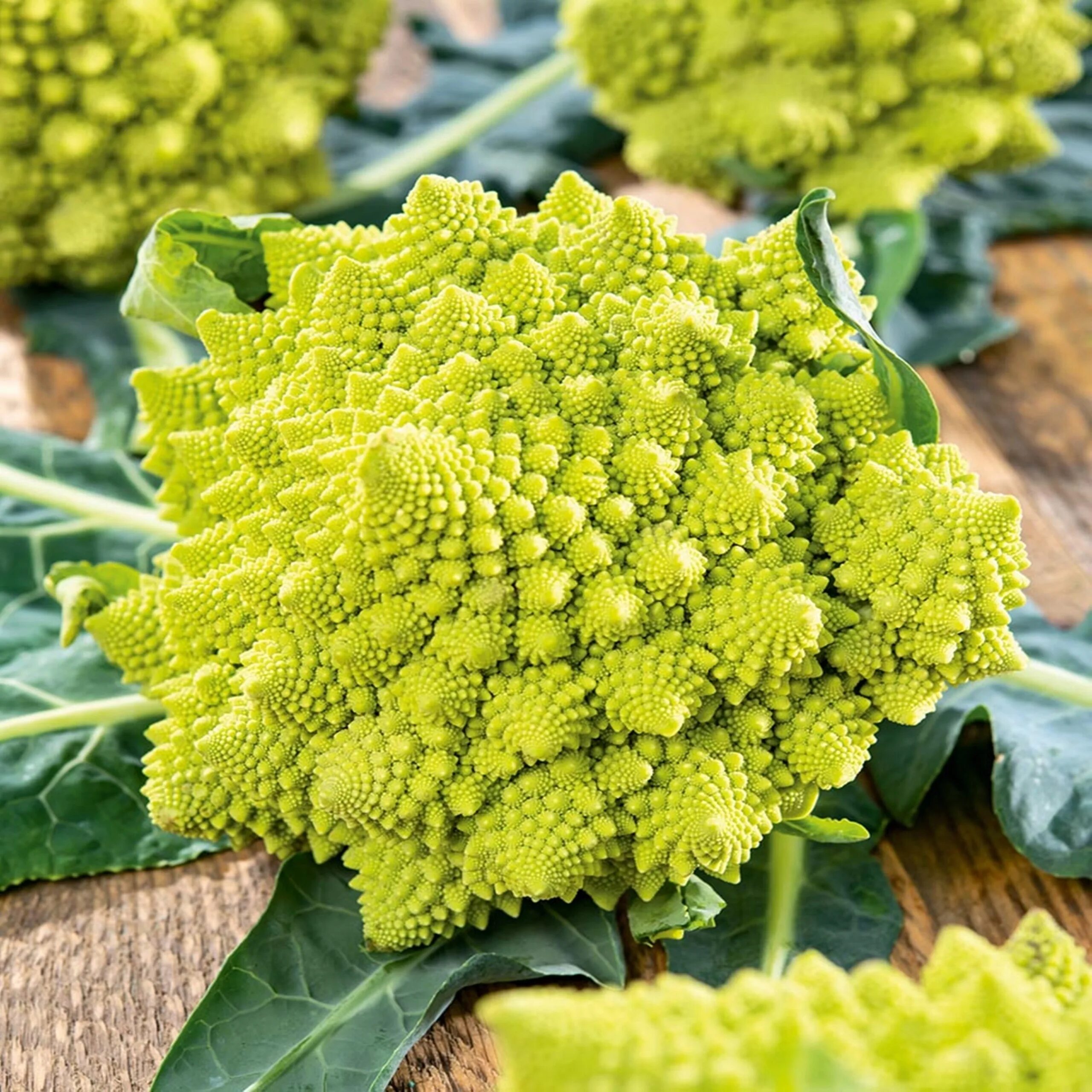 Капуста зеленая похожая на цветную фото Цветная капуста Romanesco Natalino, зеленые, выносливые семена овощей цветной ка
