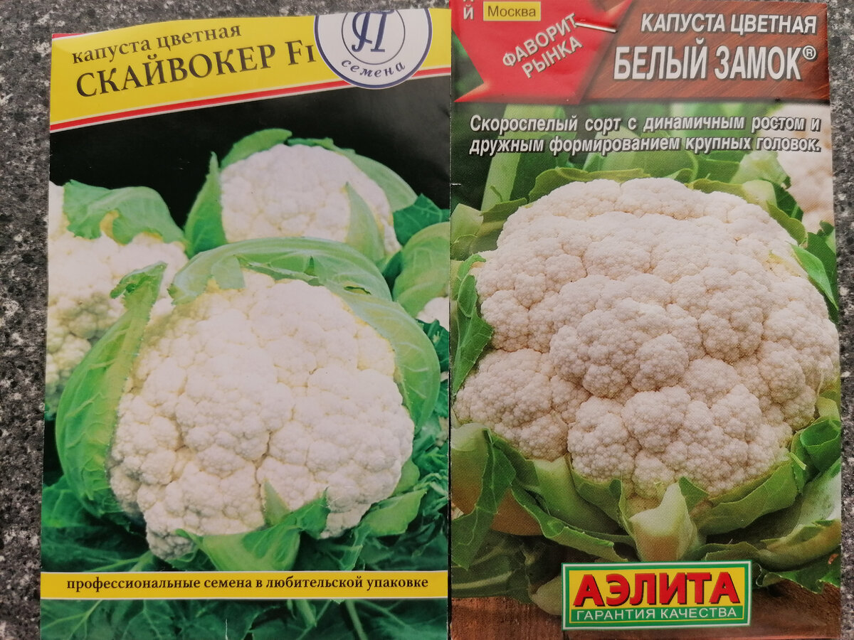 Капуста жемчужина фото Мой выбор цветной капусты и брокколи на этот сезон. Моя Загородная Жизнь. Дзен