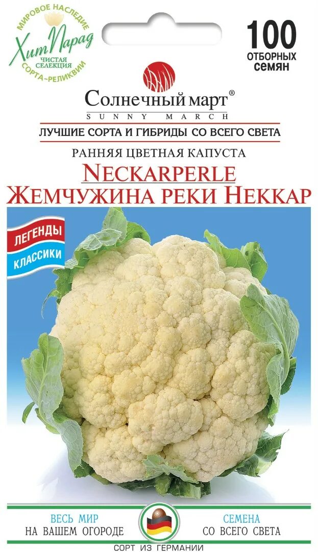 Капуста жемчужина фото Семена Капусты Цветная Жемчужина Реки Неккар (9 Грн)