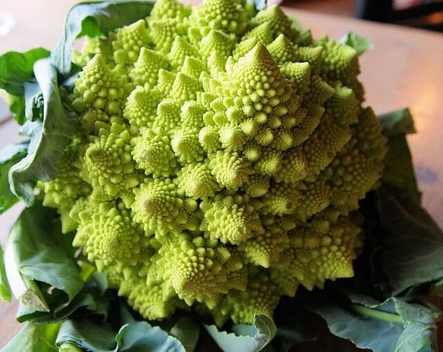 Капуста жемчужина фото Fractal Fun! The Christmas Tree Vegetable Exotische früchte, Exotisches obst, Ex