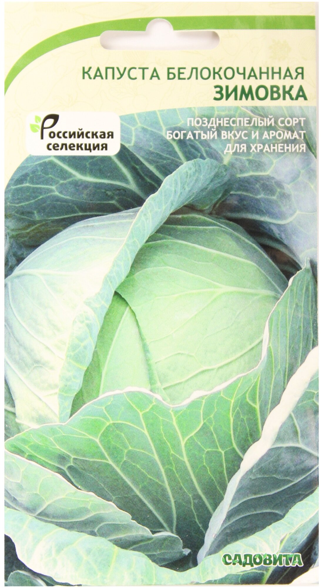 Капуста зимовка описание отзывы фото Белокочанная капуста капуста Садовита Зимовка - купить в интернет-магазине по ни