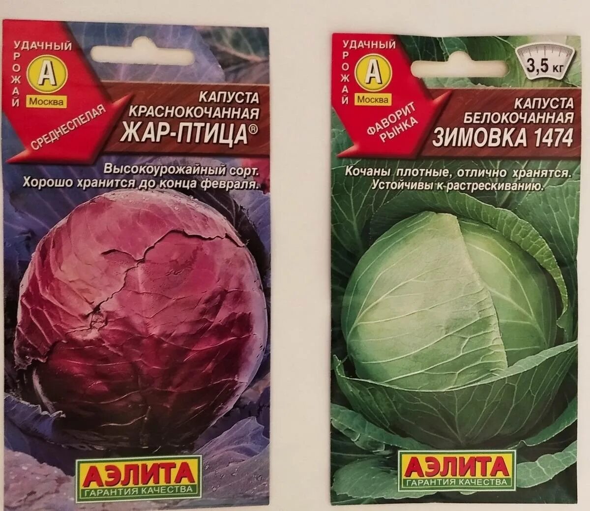Капуста зимовка описание сорта фото отзывы Капуста Зимовка: характеристика и описание гибридного сорта с фото