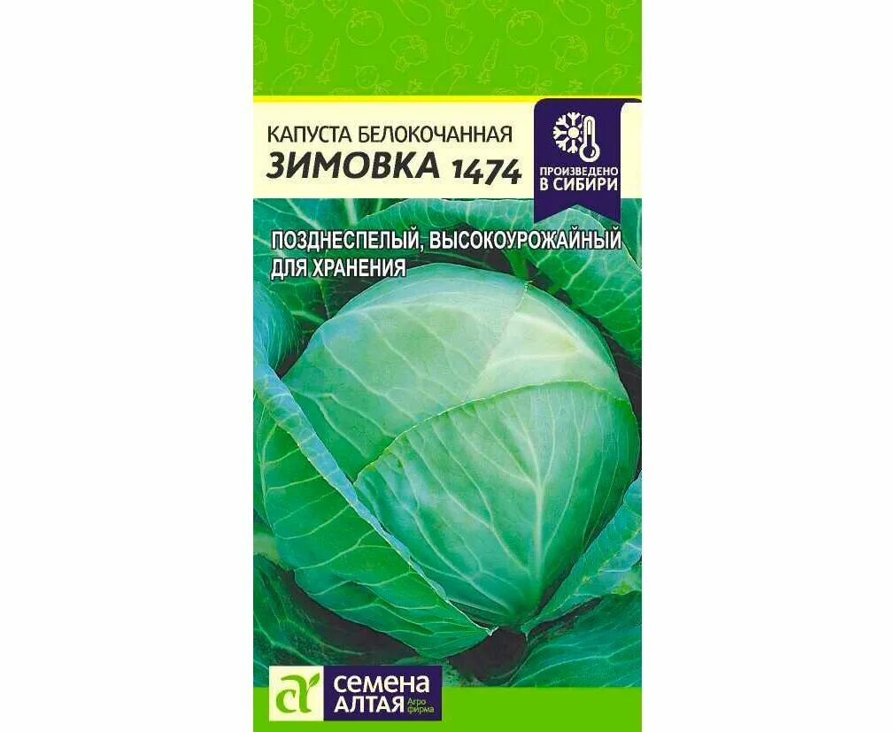 Капуста зимовка описание сорта фото отзывы Капуста белокочанная Зимовка 1474 0.5г (Семена Алтая) купить в интернет-магазине