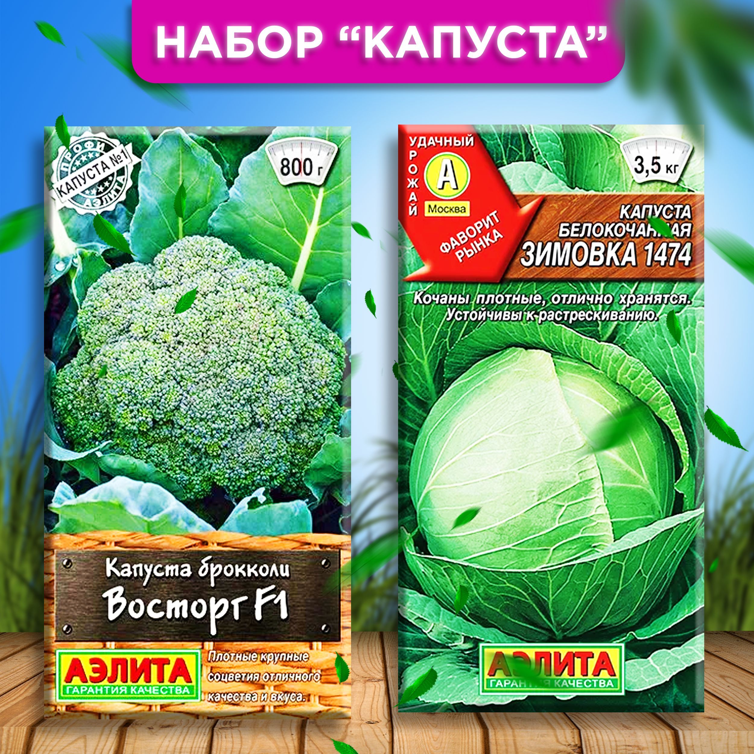 Капуста зимовка описание сорта фото отзывы садоводов Капуста Агрофирма Аэлита капуста_1_зеленый - купить по выгодным ценам в интернет