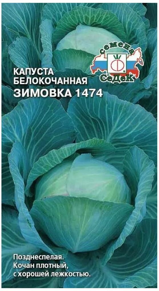 Капуста зимовка описание сорта фото отзывы садоводов Семена Капусты СеДеК Зимовка 1474 белокочанная 0,5 г - купить по цене 19 руб. в 