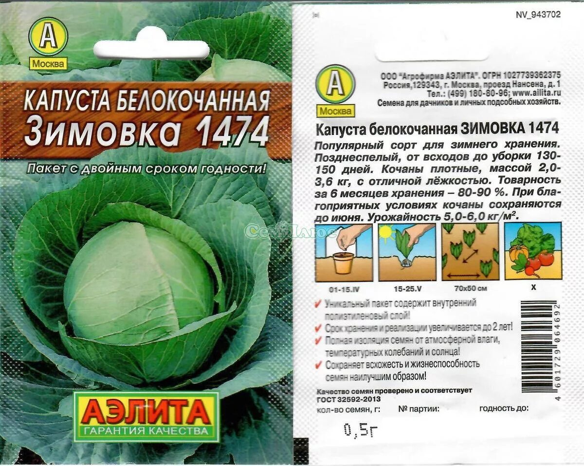 Капуста зимовка описание сорта фото отзывы садоводов Капуста сорт купчиха отзывы фото: найдено 87 изображений