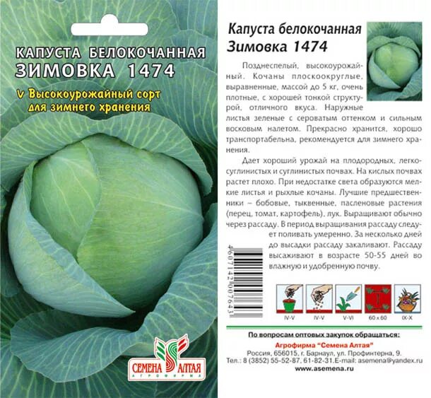 Капуста зимовка описание сорта фото отзывы садоводов Капуста Зимовка 1474/Семена Алтая/цп 0,5 гр. кабачок, капуста, лук, морковь. Сем