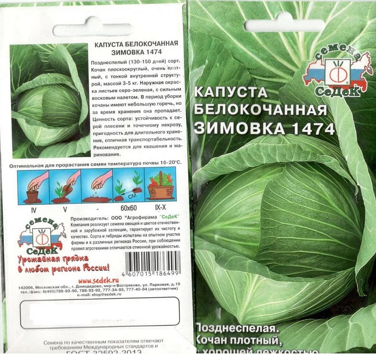 Капуста зимовка отзывы фото Капуста 'Зимовка поздняя' купить по цене . в Москве в садовом центре