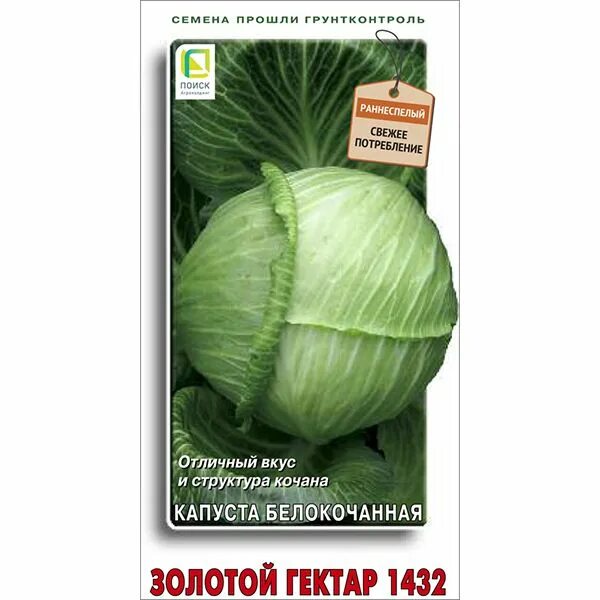Капуста золотой гектар фото Капуста ПОИСК Агрохолдинг Капуста белокочанная - купить по выгодным ценам в инте