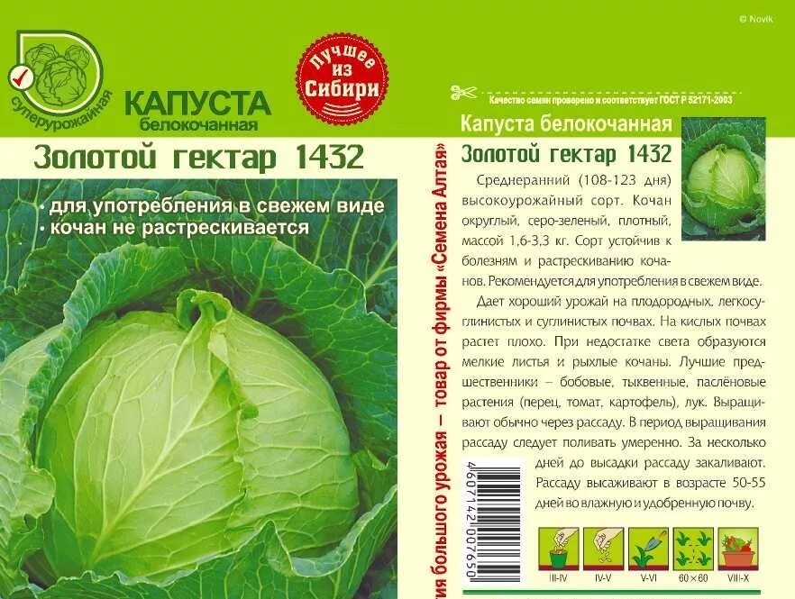 Капуста золотой гектар фото Капуста б/к Золотой гектар 1432 0,5 гр Садовита Ц
