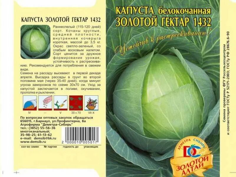 Капуста золотой гектар фото Капуста золотой гектар описание сорта Фитостудия-63.ру