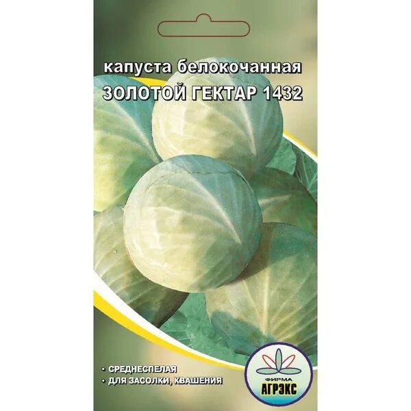 Капуста золотой гектар описание сорта фото Капуста RM4091038_разноцветный_Сорт - купить по выгодным ценам в интернет-магази