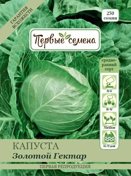 Капуста золотой гектар описание сорта фото отзывы Купить семена Капуста б/к Золотой Гектар в магазине Первые Семена по цене 22 руб