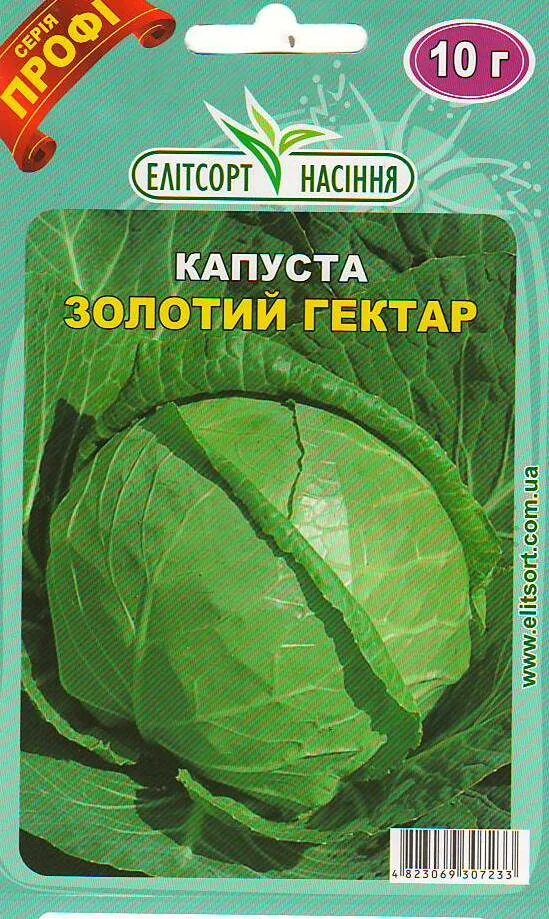 Капуста золотой гектар описание сорта фото отзывы Капуста Золотий Гектар - Офіційний сайт компанії "Агрофірма-Елітсортнасіння"