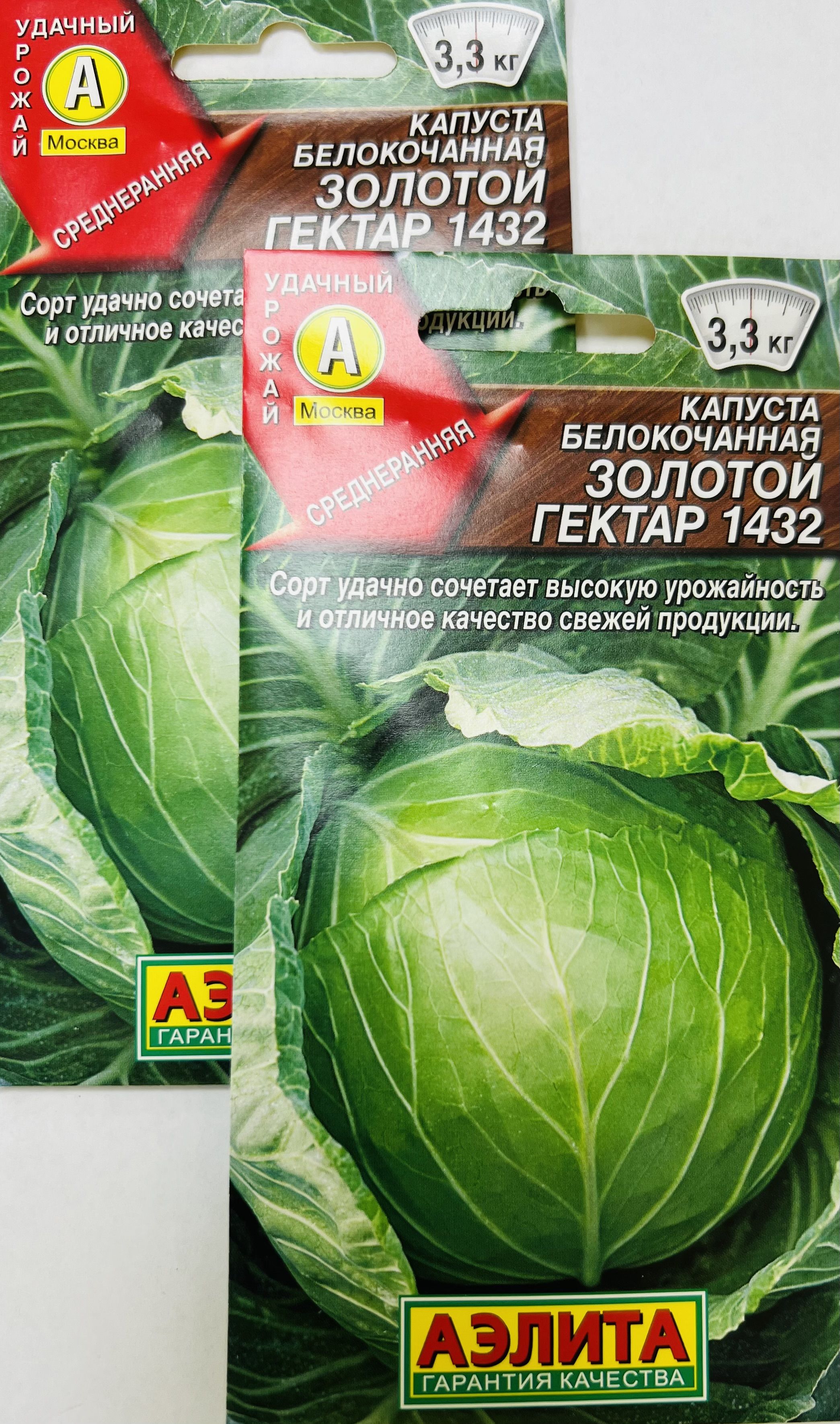 Капуста золотой гектар описание сорта фото отзывы Капуста Аэлита Капуста - купить по выгодным ценам в интернет-магазине OZON (8602