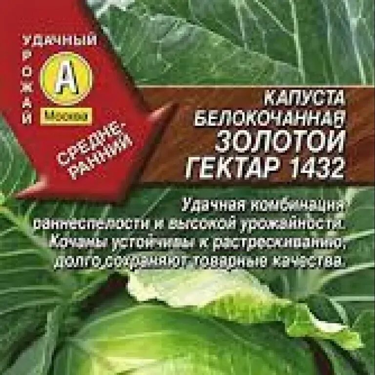 Капуста золотой гектар описание сорта фото отзывы Капуста б/к Золотой гектар 1432 - описание семян с фотографиями растения. Отзывы
