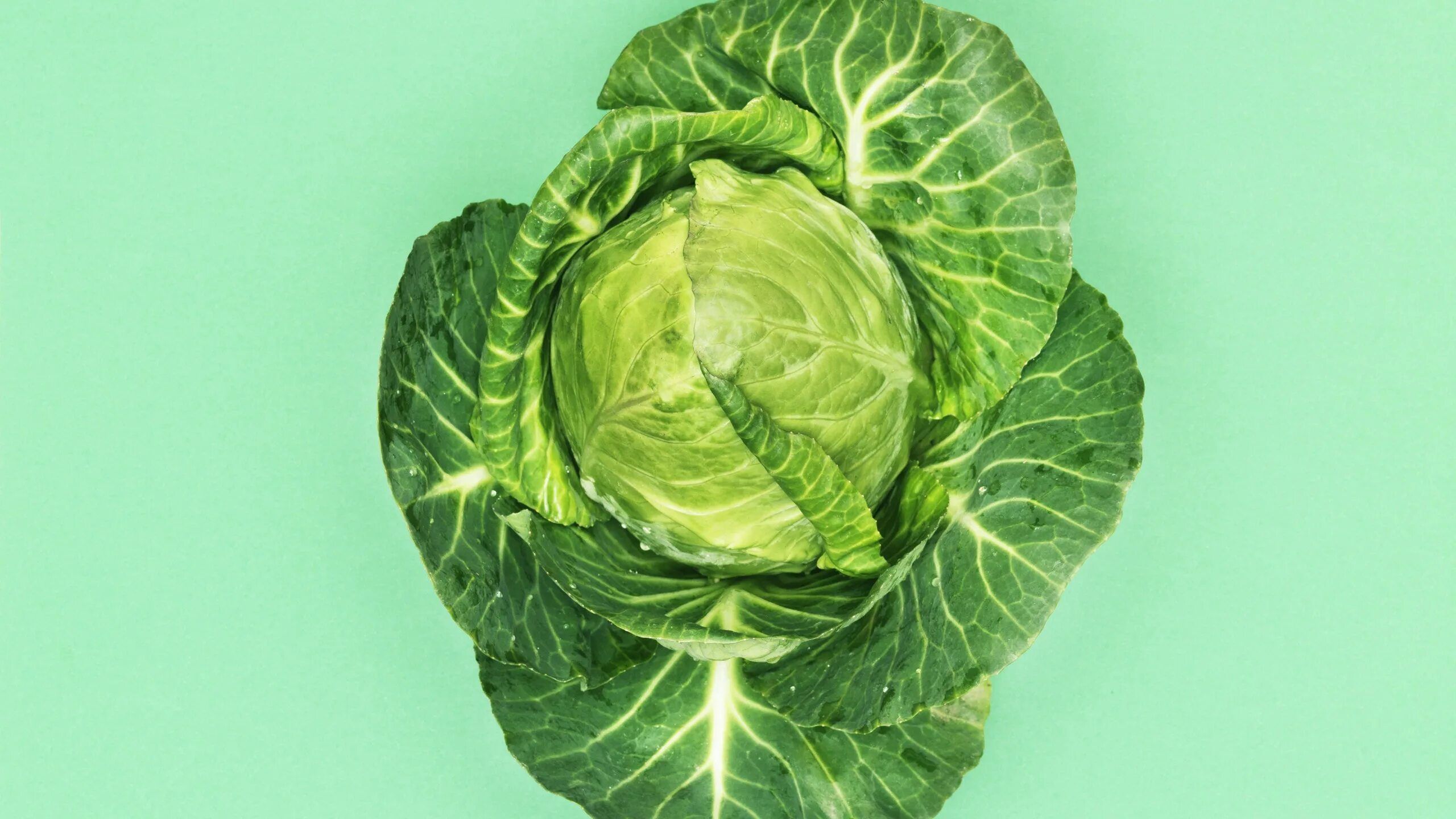 Капустные листья фото 10 Healthy Food Hacks That Don't Suck - From A to Zoodles Teen Vogue