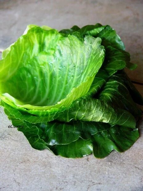 Капустные листья фото Simple Home Remedies For Pimples Natural asthma remedies, Natural remedies, Cabb