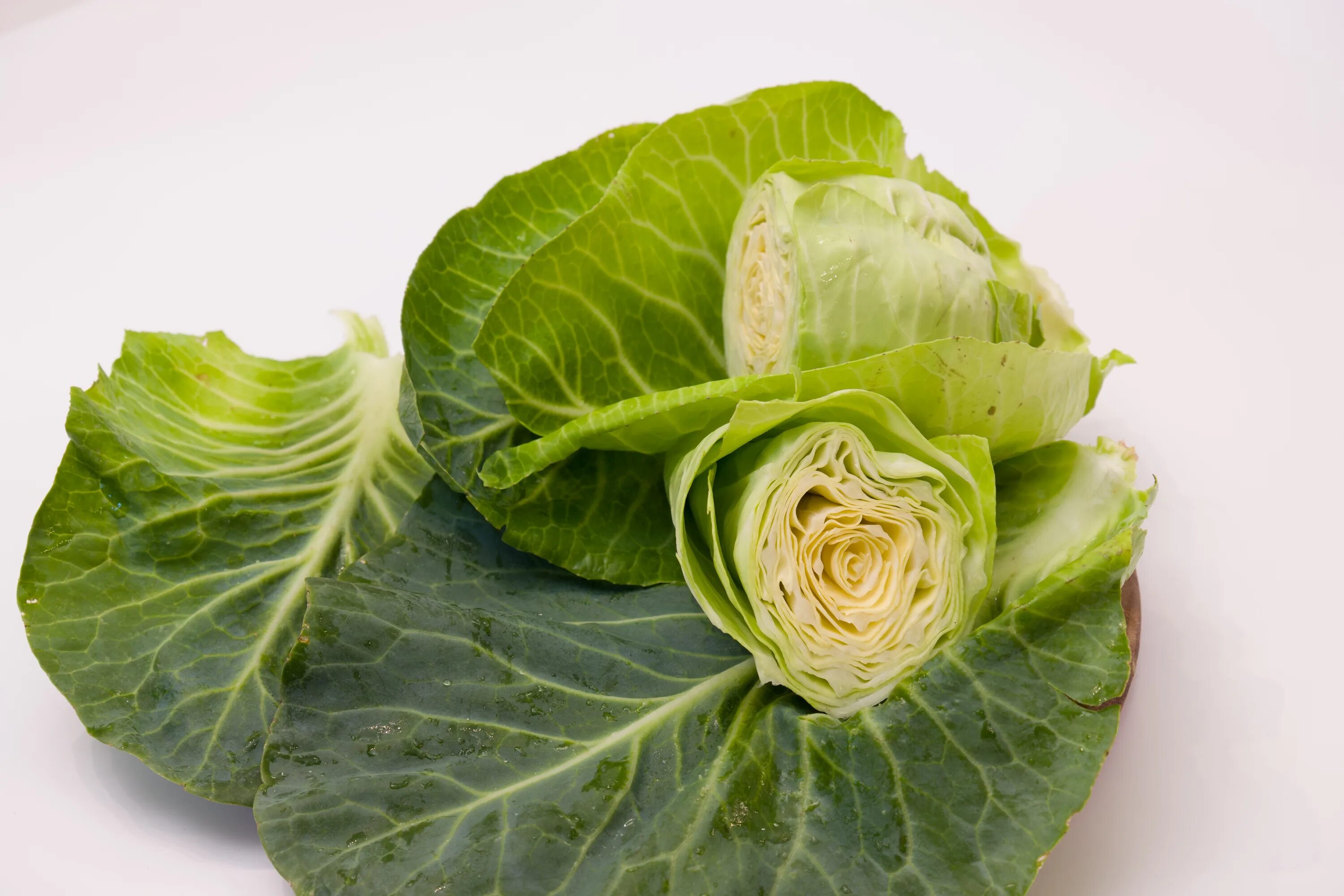 Капустные листья фото Sliced cabbage green on a white background free image download
