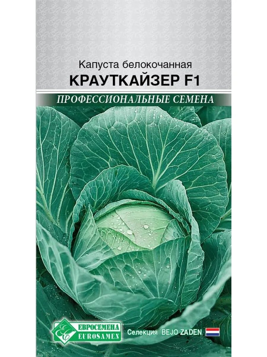 Капусты крауткайзер фото Семена Капуста белокочанная Крауткайзер F1, 10шт ЕВРОСЕМЕНА 55149297 купить за 1