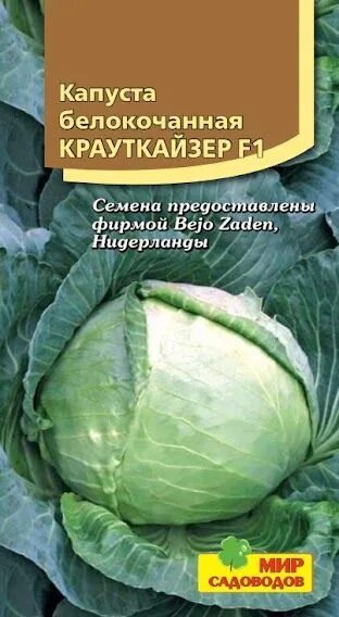 Капусты крауткайзер фото Капуста Мир Садоводов Капуста белокочанная "Краутман F1"10 - купить по выгодным 