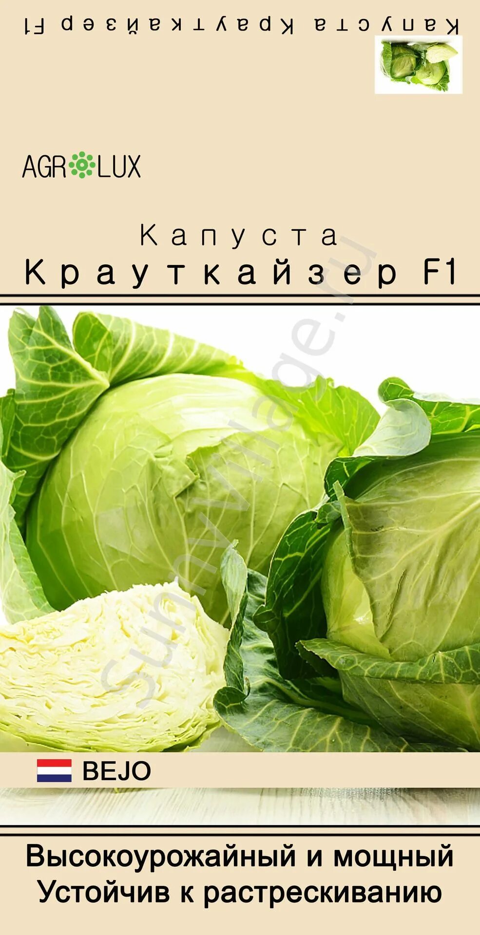 Капусты крауткайзер фото Капуста крауткайзер описание сорта фото отзывы садоводов Фитостудия-63.ру