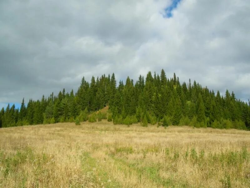 Кар гора удмуртская республика шарканский район фото MADE IN UDMURTIA: записи сообщества ВКонтакте