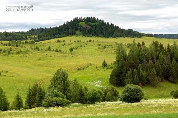 Кар гора удмуртская республика шарканский район фото Кар-гора (она же Каргурезь) в Шарканском районе. Образовалась она 25 млн лет наз