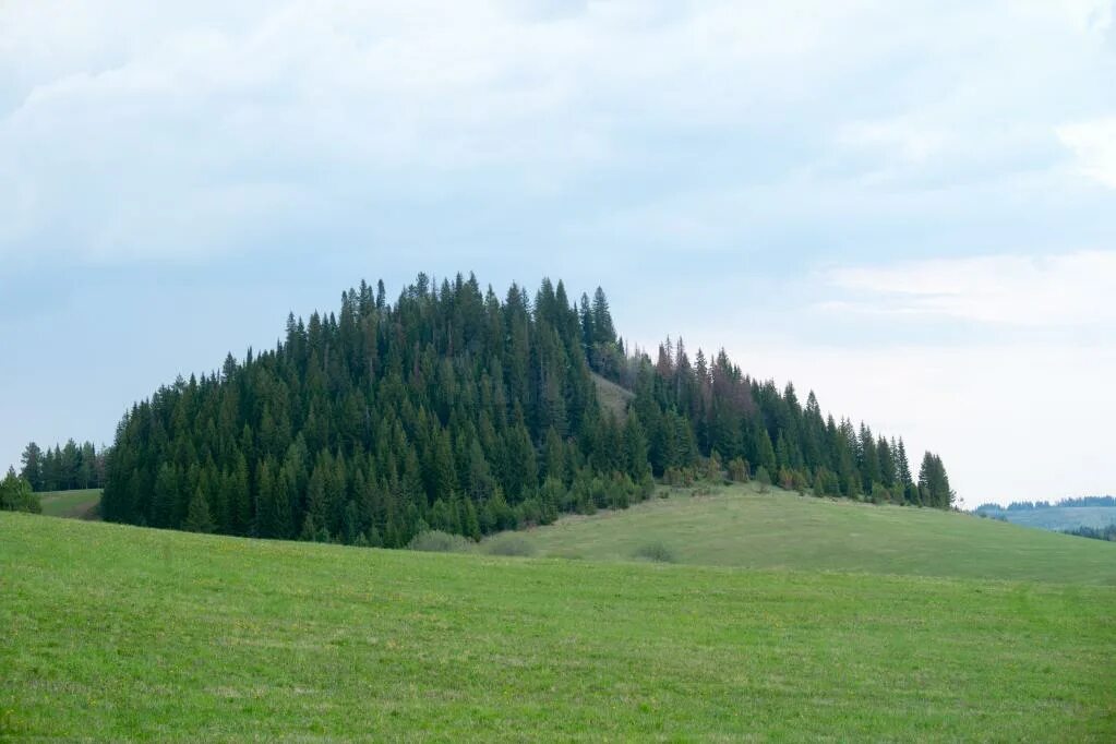 Кар гора удмуртская республика шарканский район фото Природный парк шаркан презентация