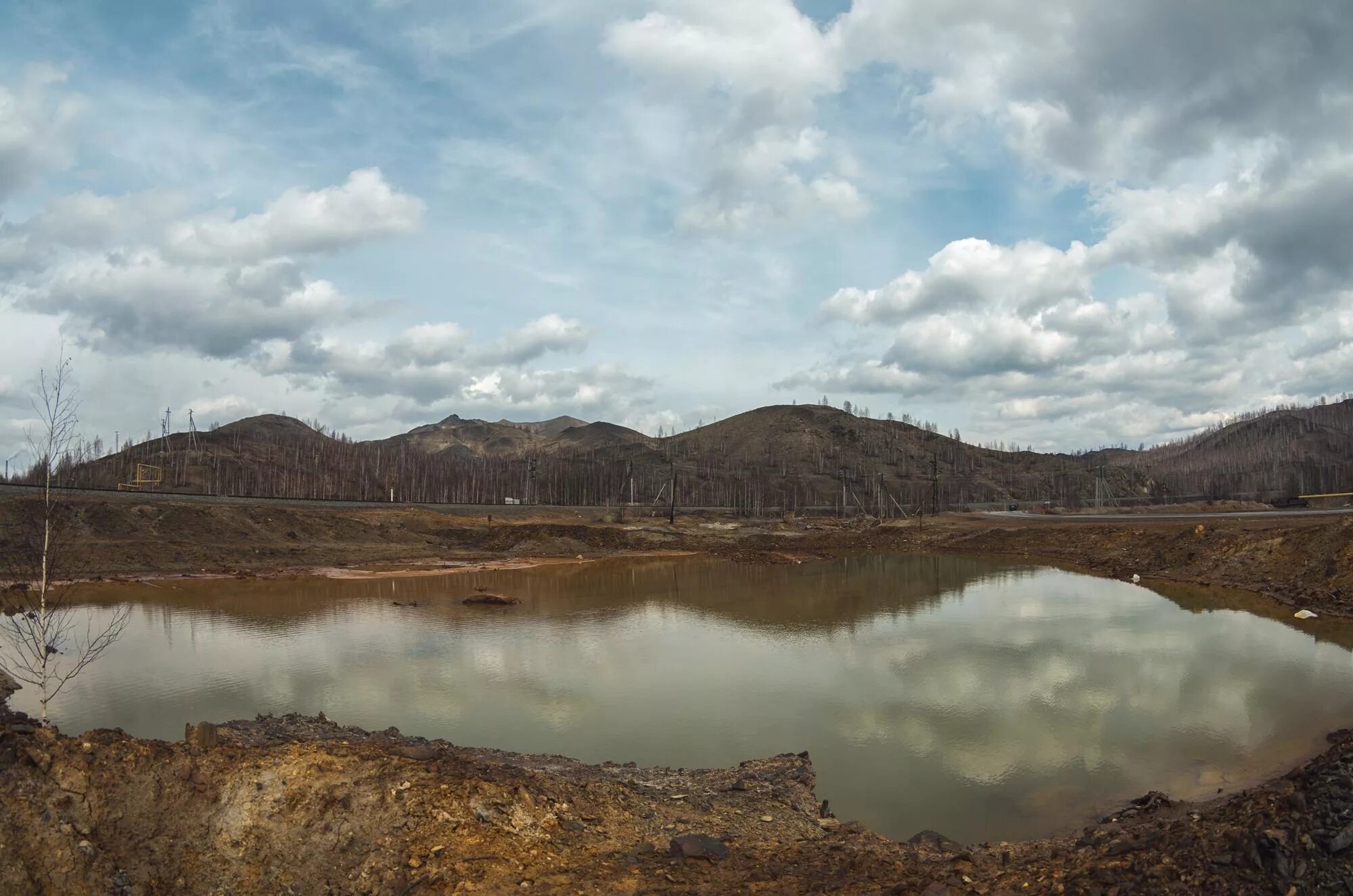 Карабаш животное фото Карабаш. Остальное. - miksocolov - LiveJournal