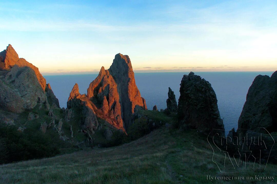 Карадагский заповедник фото Карадагская криптида разбушевалась.