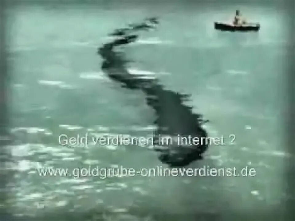 Карадагский змей реальные фото Seemonster entdeckt !!! - YouTube