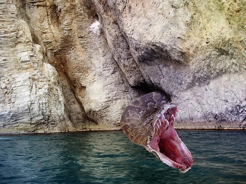 Карадагский змей в черном море фото Логово карадагского морского змея - Фотографии и коллажи Крыма, и Подмосковья. -