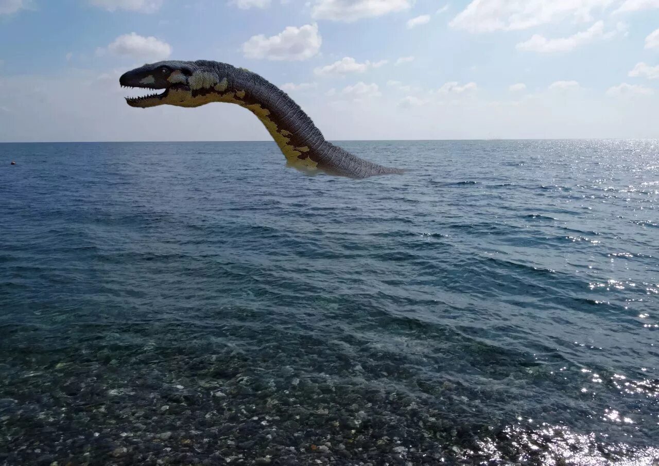 Карадагский змей в черном море фото Черноморские гады сочи - найдено 85 картинок