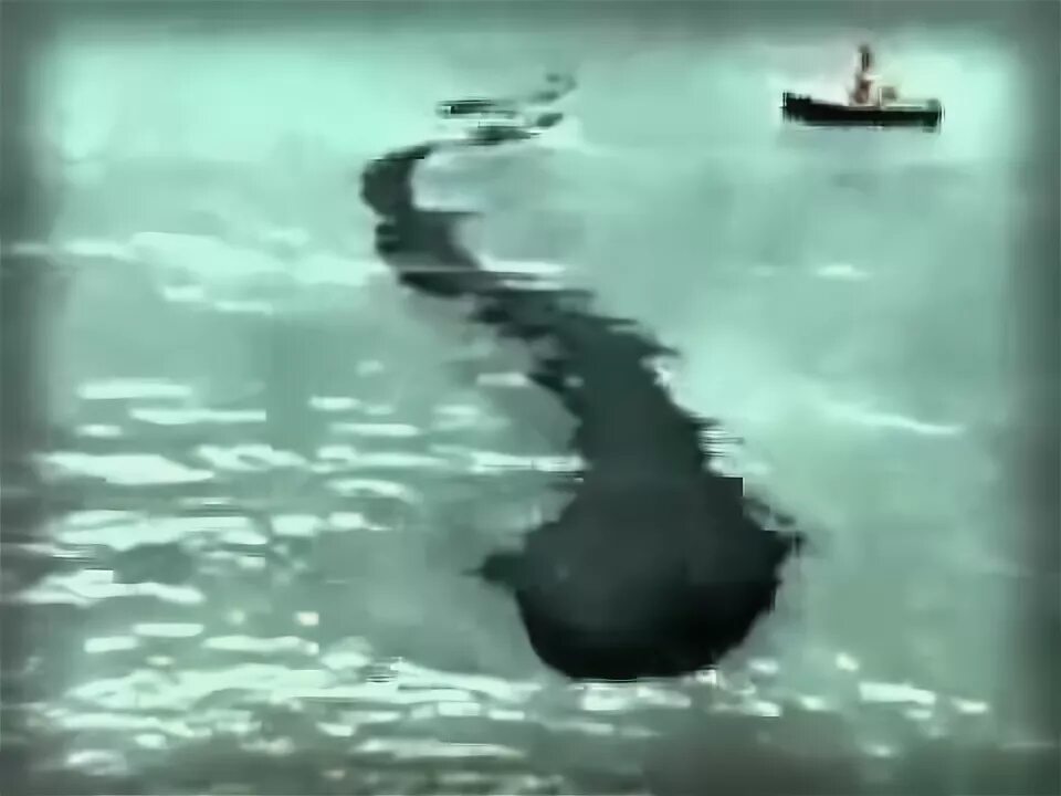 Карадагский змей в черном море фото Уникальные кадры легендарного Черноморского змея засняли в Крыму - YouTube
