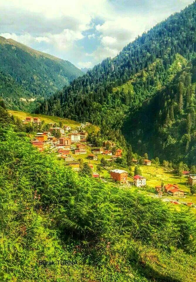 Карадениз турция фото Ayder Plateau, Rize ⚓ Eastern Blacksea Region of Turkey #karadeniz #doğukaradeni