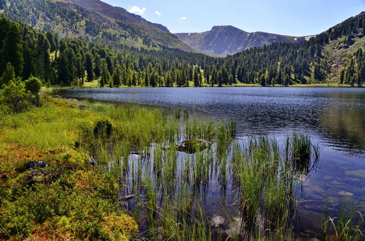 Каракольские озера в горном алтае фото Каракольские озёра Горного Алтай: экскурсии, как добраться, видео