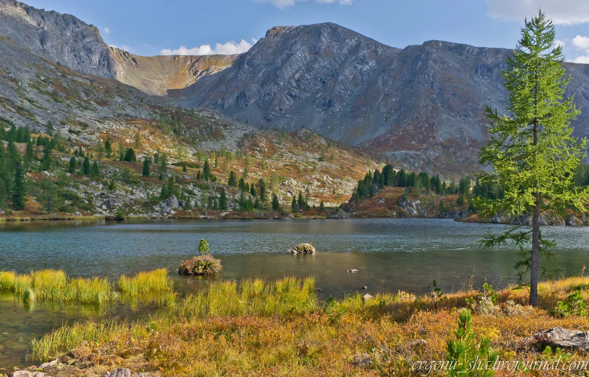 Каракольские озера в горном алтае фото Каракольские озера фото YugNash.ru
