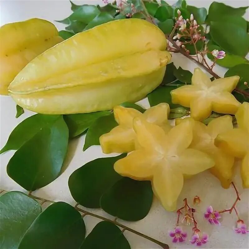 Карамбола фрукт фото Скачать картинку STARFRUIT № 14