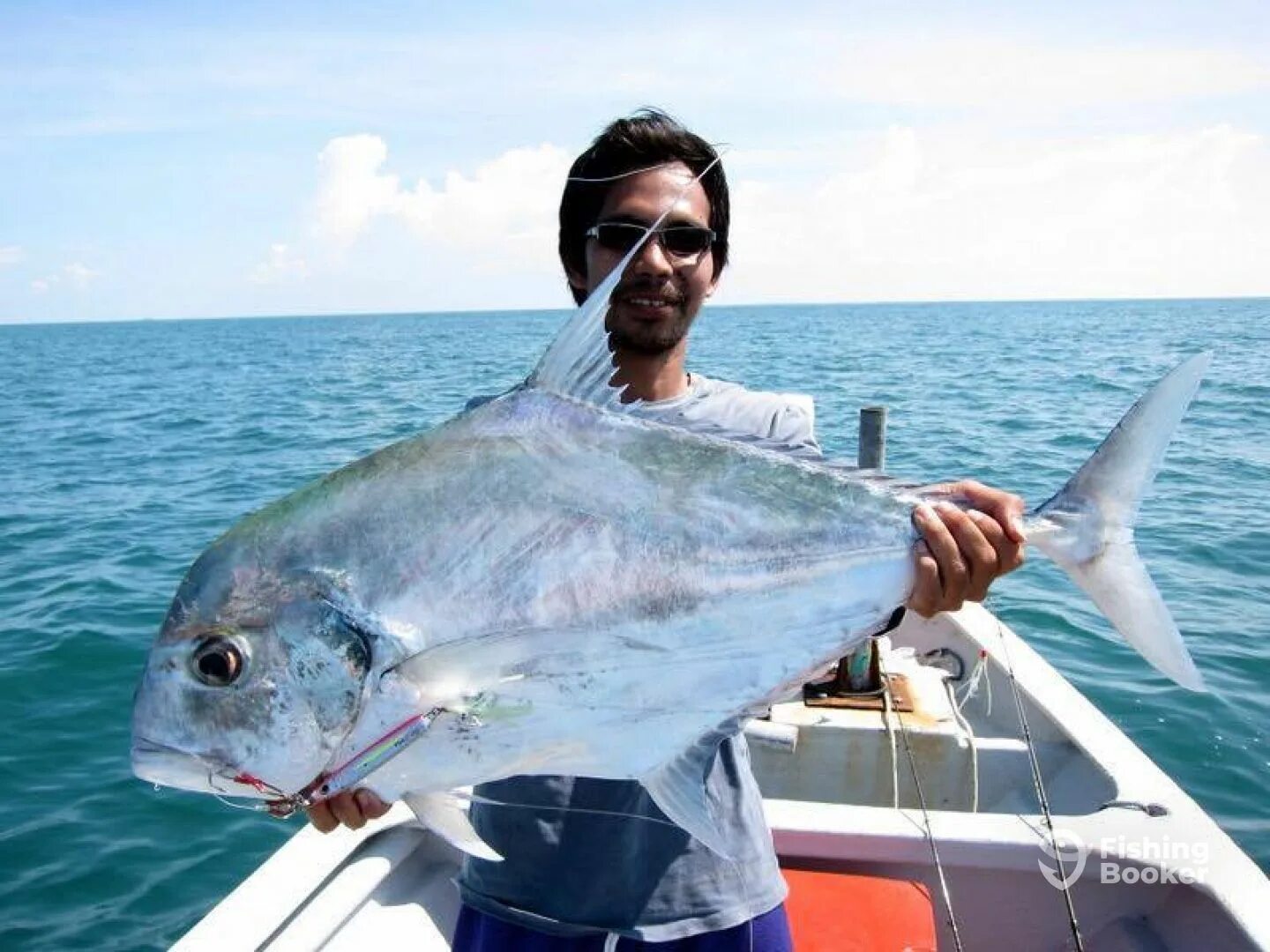 Каранкс рыба фото Fishyology - Port Dickson (Порт Диксон) - Цены 2022 года - FishingBooker