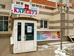 Карапуз ул гагарина 164 фото КАРАПУЗ МАХАЧКАЛА images