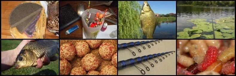 Карась какую приманку ловится Ловля карася на поплавочную удочку - читайте на Сatcher.fish