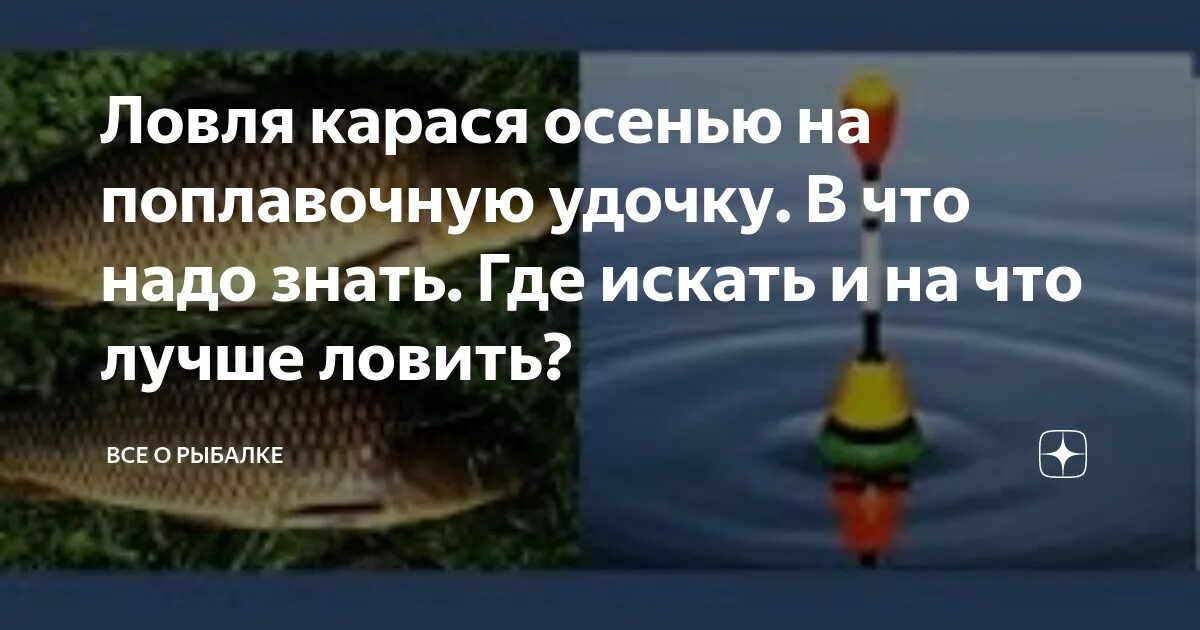 Карась осенью на удочку на что ловить Когда клюет карась: найдено 90 изображений