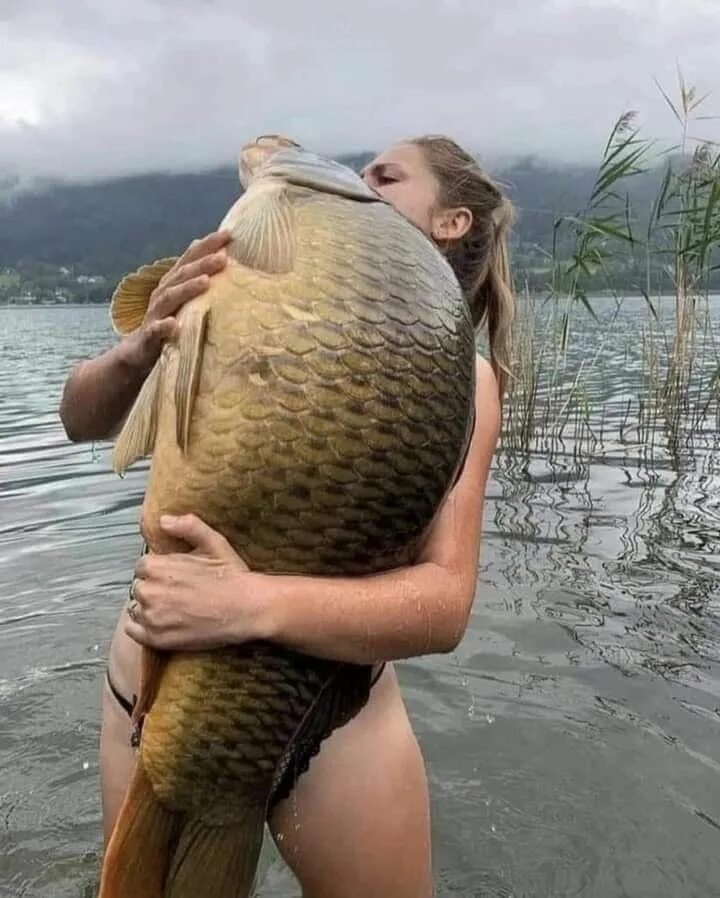 Карась смешные фото Pin by Анна on Смях Fishing girls, Catching fish, Fishing humor